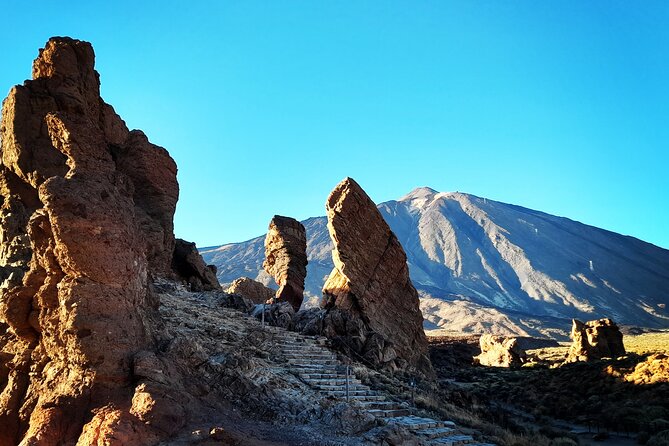 Small-Group Half-Day Tour of Teide National Park with Pickup - Viewpoints of Volcanoes and the Enormous Pine Forest