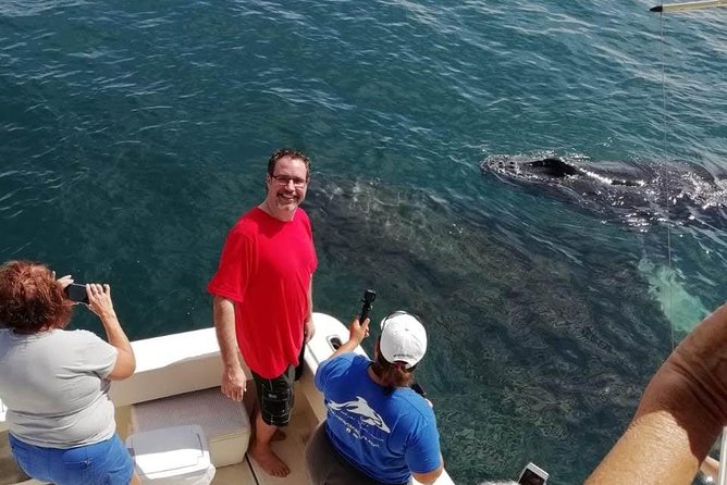 Small-Group Half-Day Whale-Watching Tour in Puerto Vallarta - Practical Details and Meeting Point