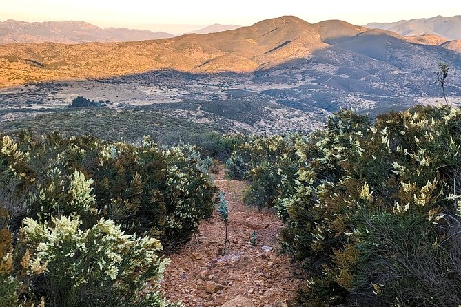 Small Group Hike Through San Diego's Heart and Soul - Explore San Diego’s Natural and Cultural Heritage on a Small Group Hike