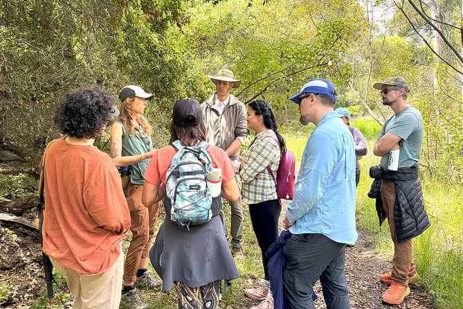 Small Group Hike Through San Diego's Heart and Soul - The Diverse Habitats Explored on the Hike