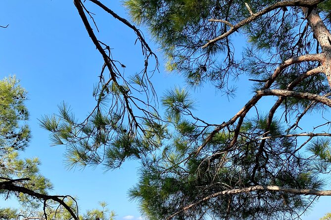 Small group hiking between the beach and Kritinia Castle - Group Size and Tour Flexibility