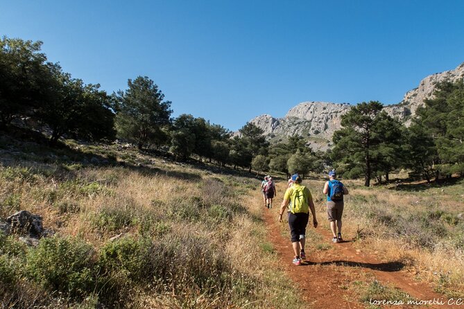 Small Group Hiking in Lindos - Panoramic Views of Navarone Bay and the Acropolis