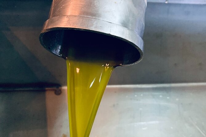 Small-Group Honey & Extra Virgin Olive Oil Tasting Tour in Crete - Honey Production and Beekeeping in Greece