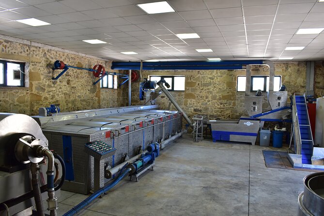 Small-Group Honey & Extra Virgin Olive Oil Tasting Tour in Crete - Practicalities and Booking