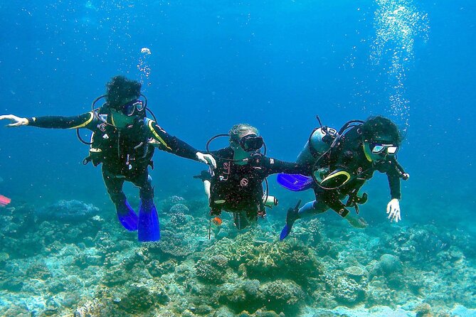 Small-Group Introductory Scuba Diving in Pula - Meet at Orca Diving Centre in Pula for a Safe Introduction to Scuba