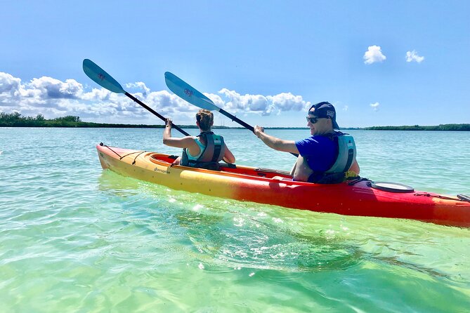 Small Group Kayak Tour of the Shell Key Preserve - Explore Shell Key Preserve with a Small Group Kayak Tour