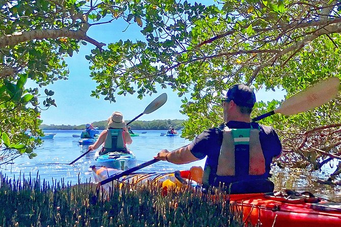 Small Group Kayak Tour of the Shell Key Preserve - The Experience: Paddling Through Mangrove Tunnels