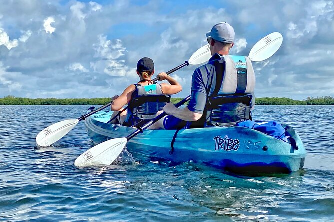 Small Group Kayak Tour of the Shell Key Preserve - Expert Guides and Personalized Attention