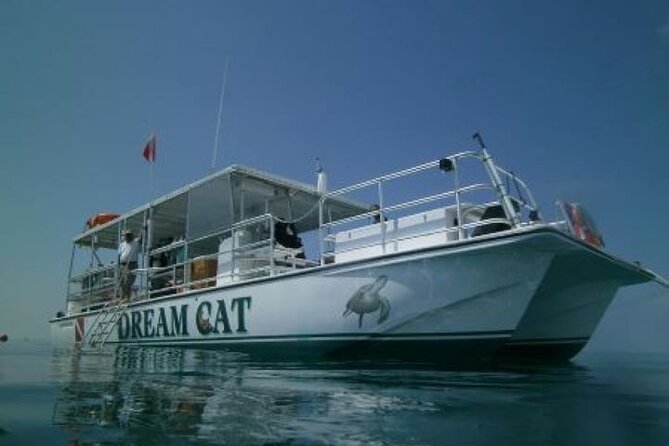 Small Group Key West Snorkel Adventure - Key Points