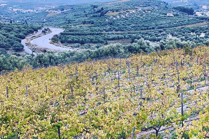 Small Group: Knossos, Olive Oil, Winery & raki with Lunch - The Highlights of the Tour Experience