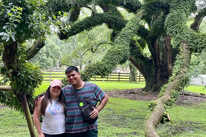 Small-Group Louisiana Plantations Tour with Gourmet Lunch from New Orleans - Review Highlights and Overall Satisfaction