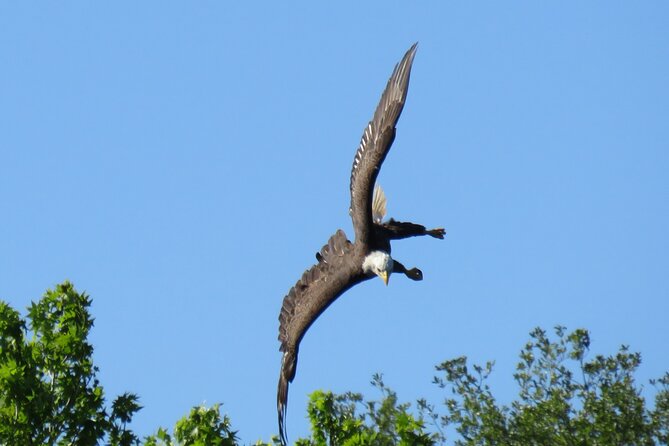 Small Group Manatee Discovery Kayak Tour near Orlando - Equipment and Comfort: Quality and Convenience
