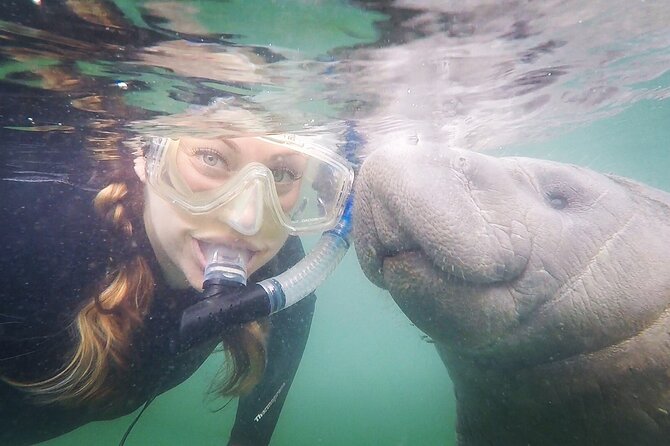 Small Group Manatee Snorkel Tour with In-Water Guide and Photographer - The Crystal River Location and Why It’s Unique