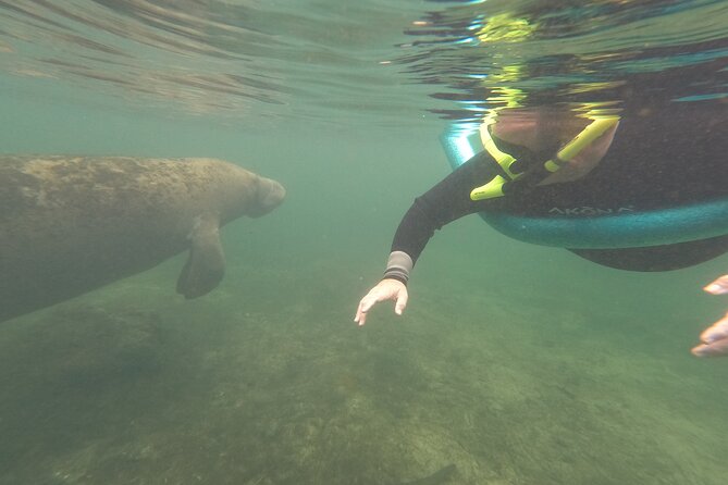 Small Group Manatee Snorkel Tour with In-Water Guide and Photographer - The Expertise and Personalities of the Guides