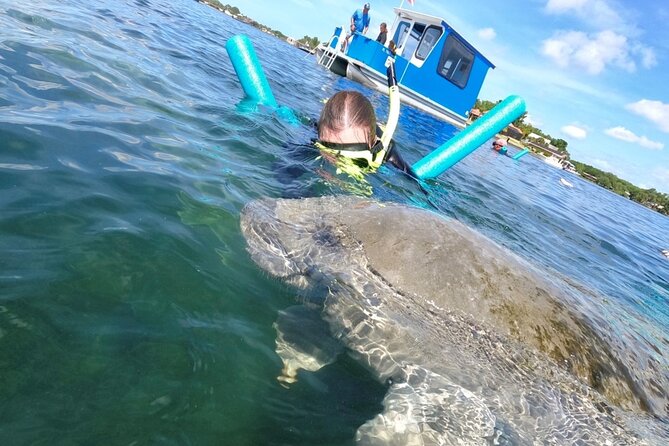 Small Group Manatee Snorkel Tour with In-Water Guide and Photographer - Accessibility and Family-Friendliness