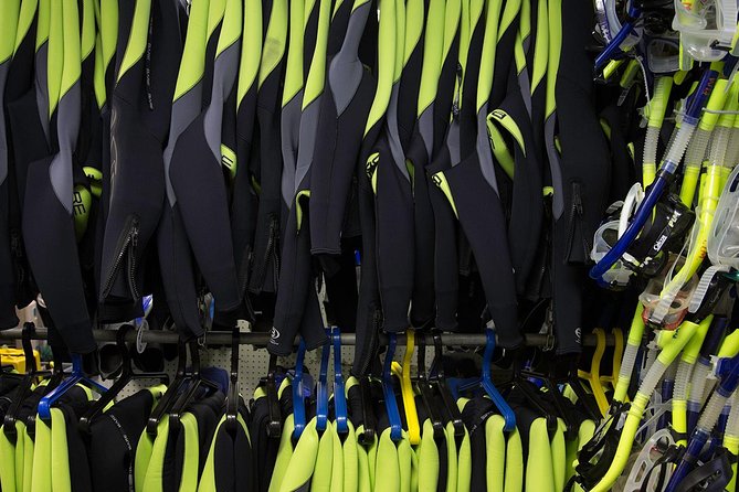 Small group Manatee Tour with In-Water Divemaster/Photographer - The Experience of Swimming with Manatees in Crystal River