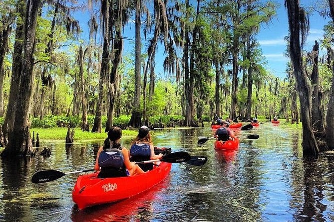 Small-Group Manchac Swamp Kayak Tour - Key Points