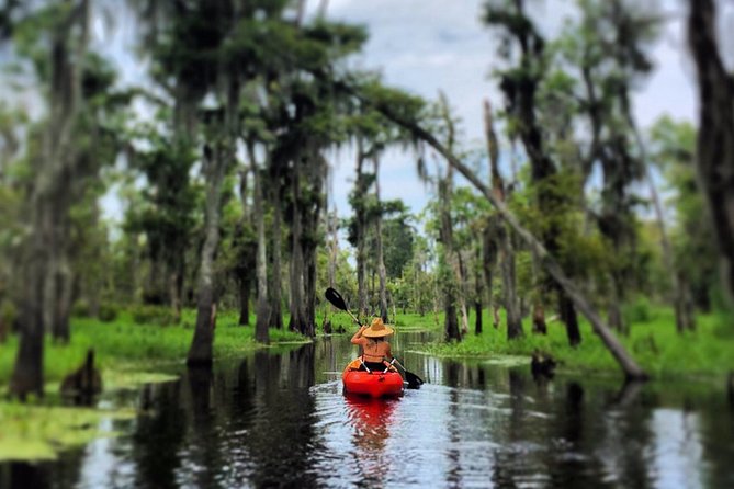 Small-Group Manchac Swamp Kayak Tour - Kayaking in Louisiana’s Bayous Near New Orleans
