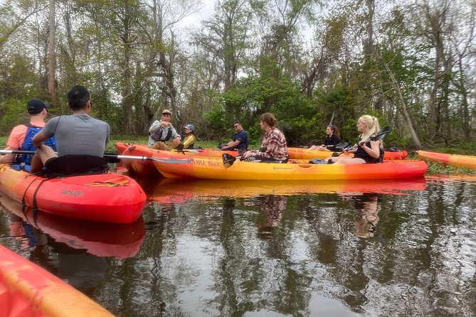 Small-Group Manchac Swamp Kayak Tour - Paddling Experience and Group Atmosphere
