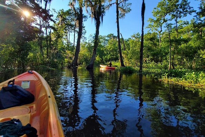 Small-Group Manchac Swamp Kayak Tour - Handling Weather and Potential Challenges