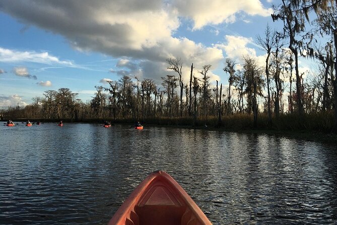 Small-Group Manchac Swamp Kayak Tour - Customer Service and Guided Tour Quality