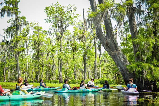 Small-Group Manchac Swamp Kayak Tour with Local Guide - Wildlife Encounters You Can Expect