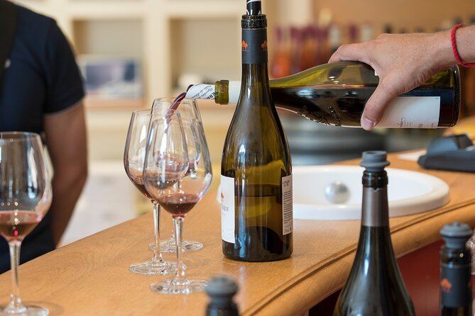 Small Group Marseille Shore Excursion : Avignon & Chateauneuf du Pape Wine Tour - Wine Tasting at Chateauneuf du Pape