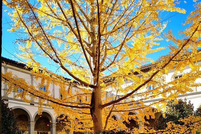 Small Group Medici and Michelangelo Tour in Florence - Visiting Basilica di Santa Trinita and Santa Felicita