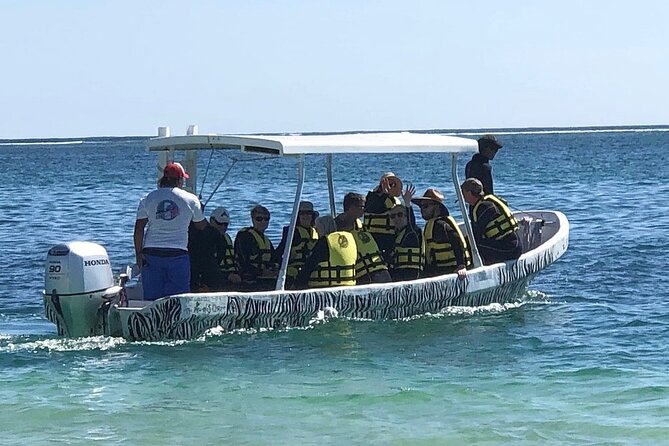 Small-Group Mesoamerican Barrier Reef Snorkeling in Puerto Morelos - Meeting Point and Accessibility
