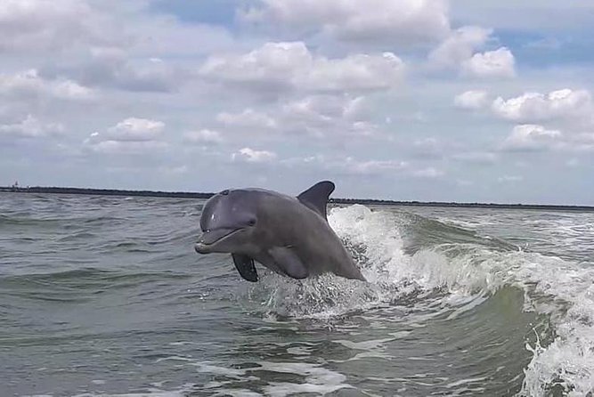 Small Group Motorboat Eco Tour of the Everglades - The Small Group Advantage in Everglades Exploration
