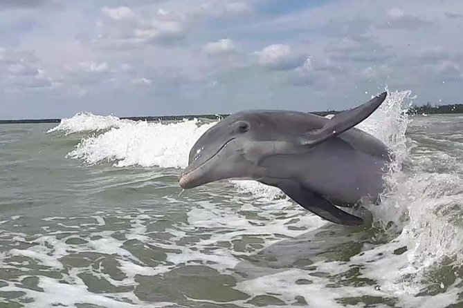 Small Group Motorboat Eco Tour of the Everglades - Small Group Eco Tour of the Everglades: Final Thoughts
