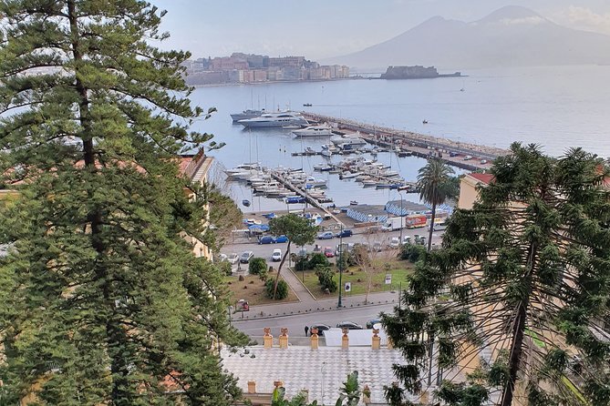 Small Group Naples City Sightseeing Tour - Panoramic Views from Posillipo Hill