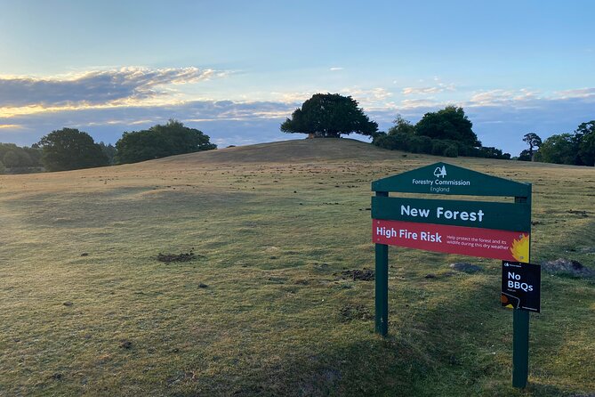 Small-group New Forest Discovery Walk from Lyndhurst - Exploring the Ancient woodland of Denny Inclosure