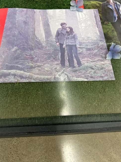 Small Group: Olympic Park & Forks Day Trip From Seattle - Flexibility and Booking Options