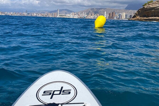 Small Group Paddle Surf Experience in Benidorm - Pricing, Cancellation, and Flexibility