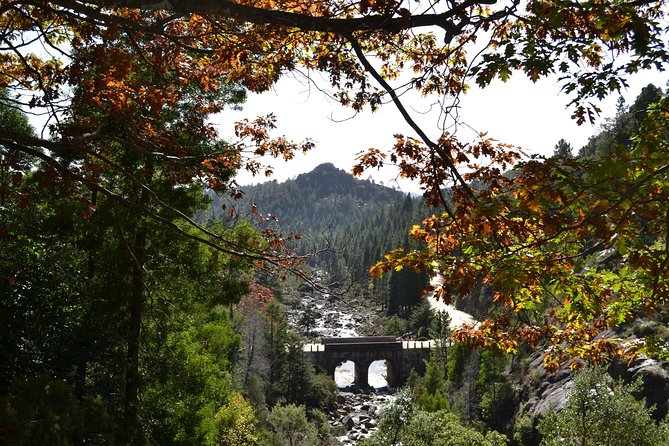 Small Group Peneda Geres National Park Full Day Tour from Porto - Enjoying a Picnic in a Remote Location
