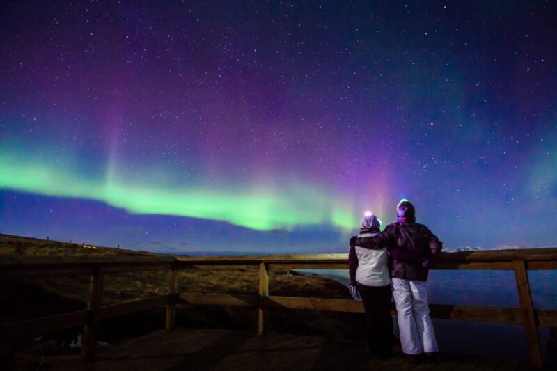 Small-Group Premium Northern Lights Tour from Reykjavik - The Experience for Families and Children