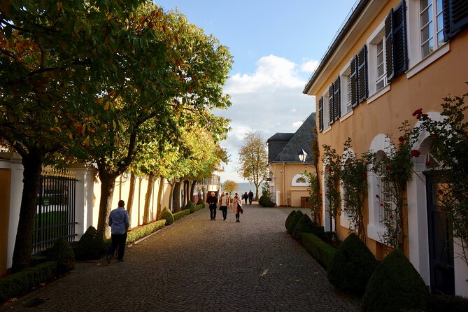 Small Group Rheingau Vineyards Tour with Castles and Abbeys - The Historic Kloster Eberbach: The "Cradle of Riesling"