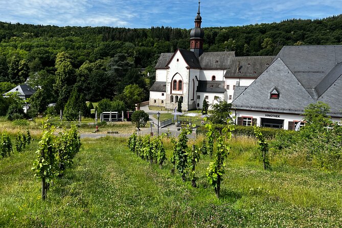 Small Group Rheingau Vineyards Tour with Castles and Abbeys - Tasting at a Family-Run Estate: Kaufmann or Similar