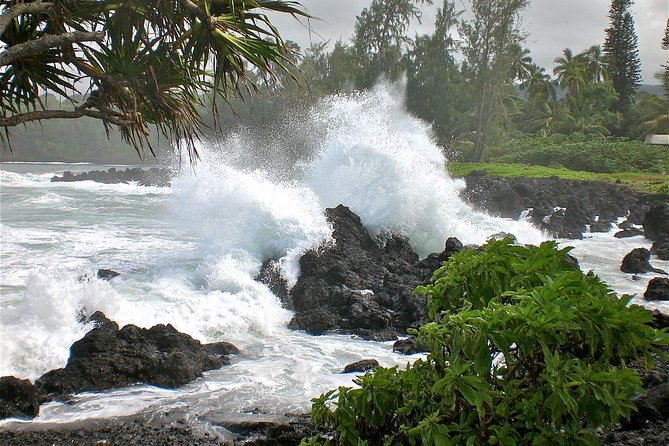 Small-Group Road to Hana Luxury Tour - The Guide’s Role: Knowledgeable and Friendly