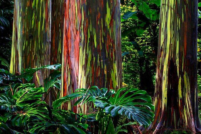 Small Group Road to Hna Tour 6 to 8 passengers - Pua’a Ka’a State Park: Waterfalls and Swimming