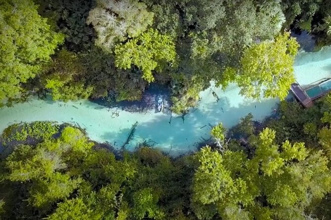 Small Group Rock Springs Run Eco Kayak Adventure - Exploring Rock Springs Run’s Crystal Clear Waters