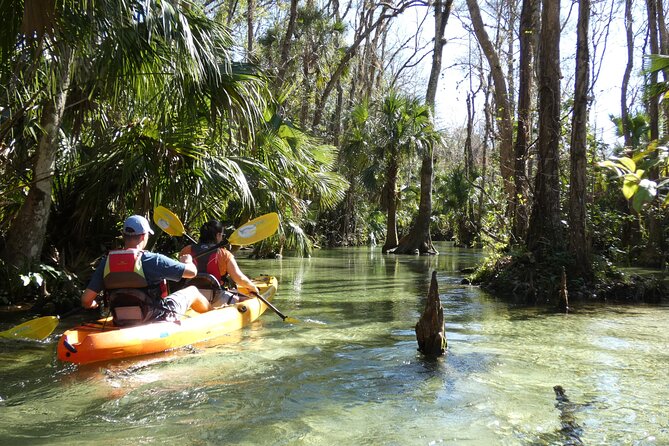 Small Group Rock Springs Run Eco Kayak Adventure - Stop at Kings Landing: A Scenic Paddle Through Nature