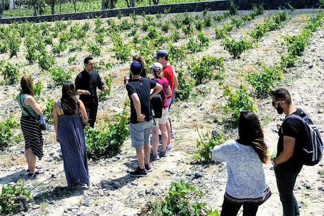 Small Group Santorini Winery Tour - Visiting Estate Argyros: A Dive into Local Wines and Aperitifs