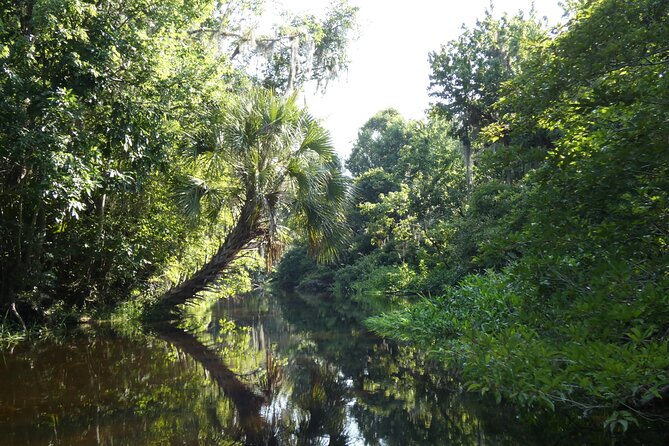 Small Group Scenic Wekiva River Kayak Tour near Orlando - Key Points