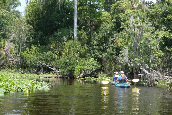 Small Group Scenic Wekiva River Kayak Tour near Orlando - Safety and Comfort During the Paddle