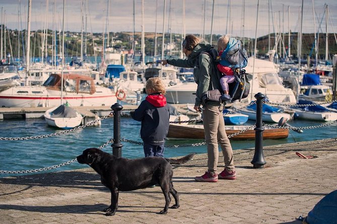 (Small Group) Shore Tour from Cork: Blarney Castle & Jameson Distillery - The Jameson Experience in Midleton