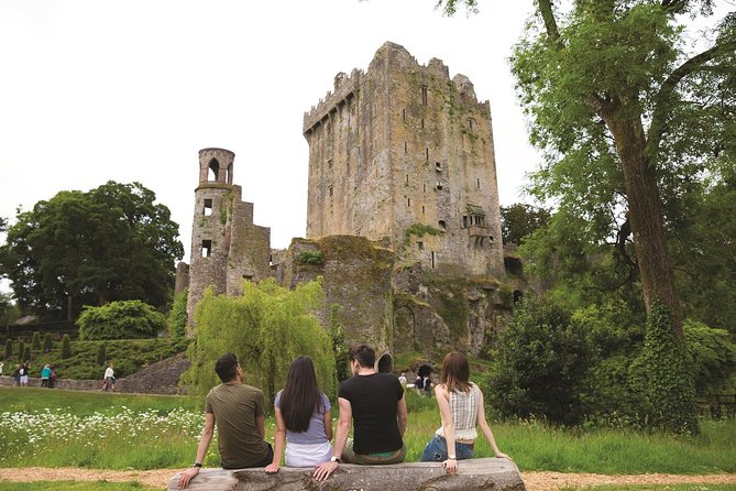 (Small Group) Shore Tour from Cork: Blarney Castle & Jameson Distillery - Transport, Group Size, and Accessibility