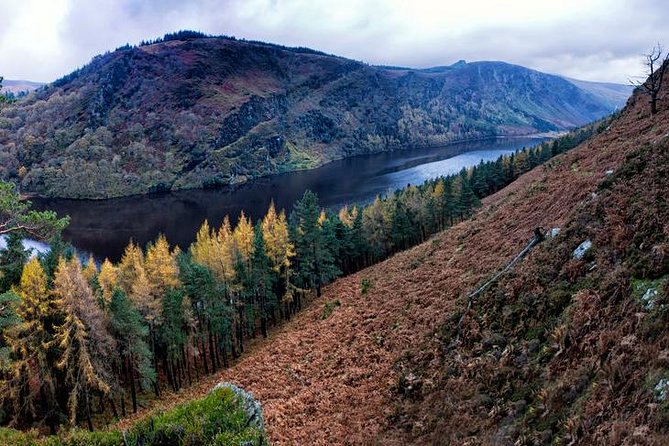 (Small Group) Shore Tour from Dublin:Dublin Highlights and Glendalough Day Trip - Return Journey Through Wicklow’s Majestic Mountains and Lakes