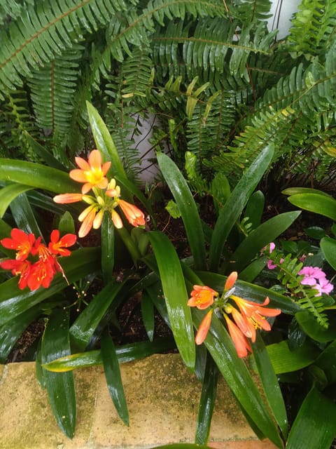 Small Group Sintra-Cabo Roca-Cascais the Portuguese Riviera - Included and Not Included in the Tour Package